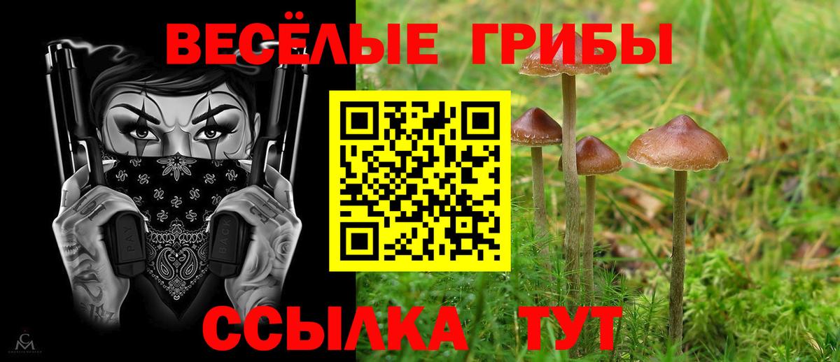 Галлюциногенные грибы Magic Shrooms Асбест
